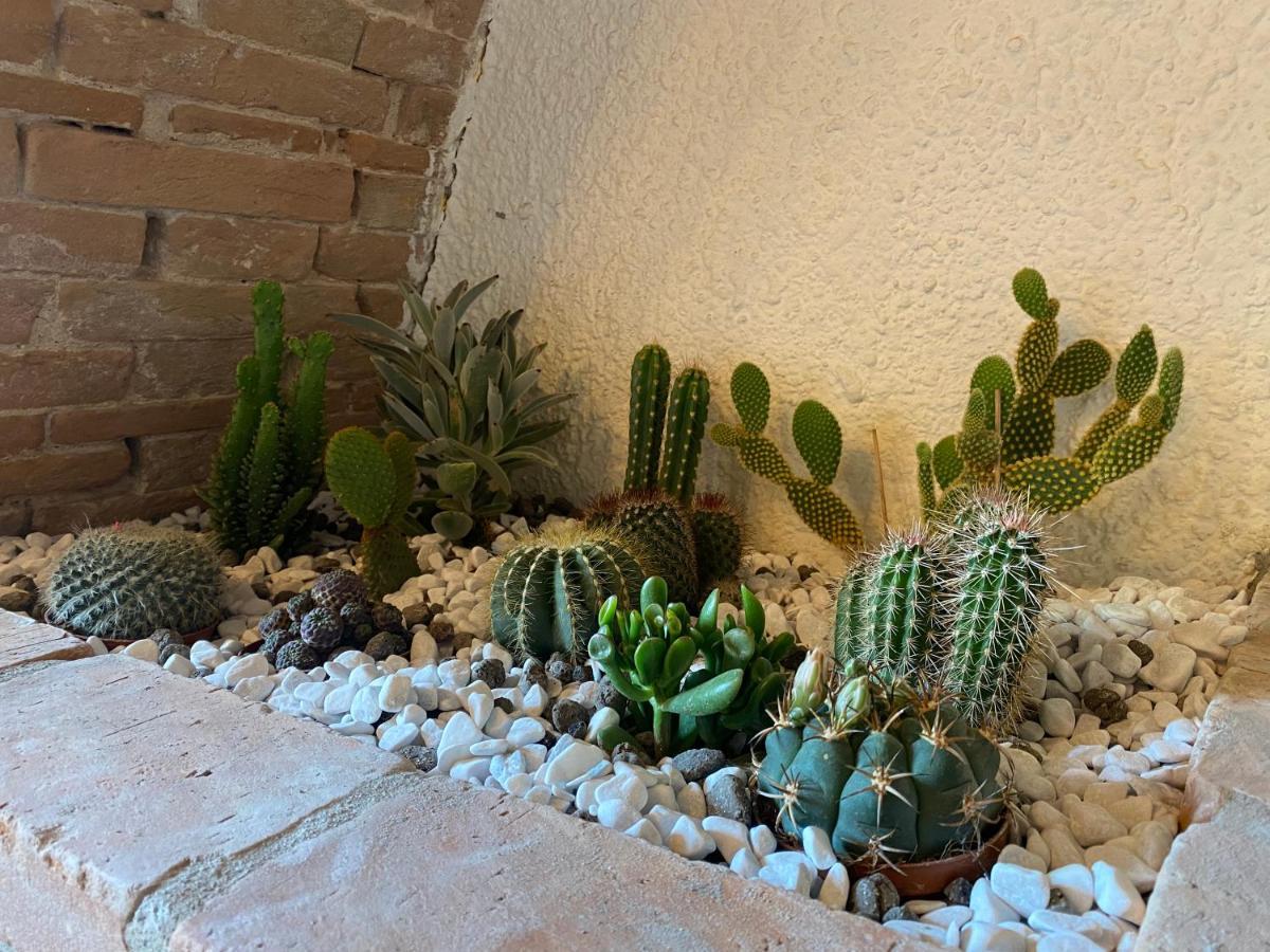 Cactus Suite Pisa Exterior foto